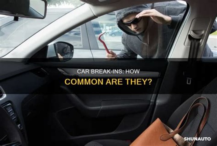 Are break ins common?