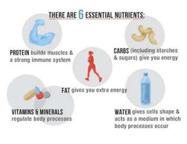 Are nutrients needed by the body to produce energy?