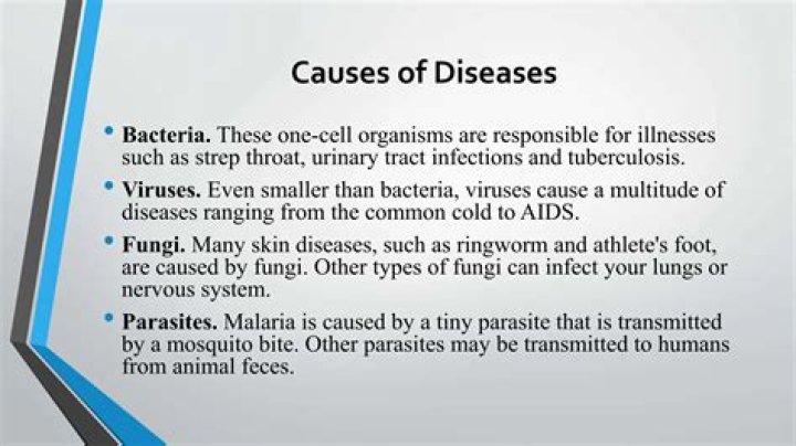 Are organisms that cause disease?