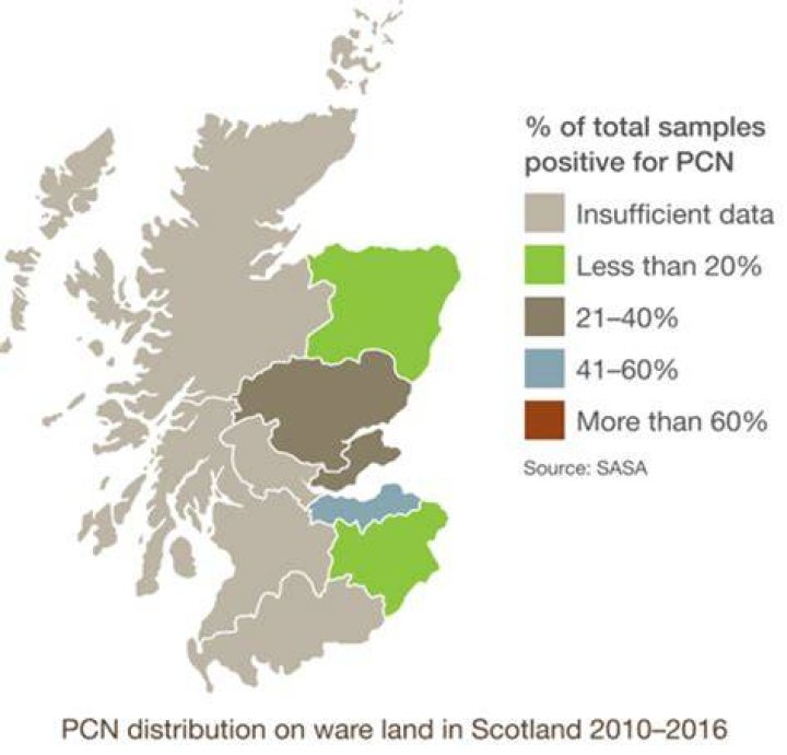 Are pcn enforceable in scotland?