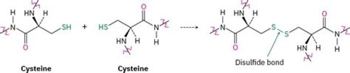 Can cysteine be deprotonated?