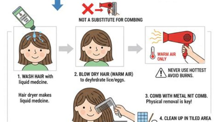 Can hair dryer kill lice?