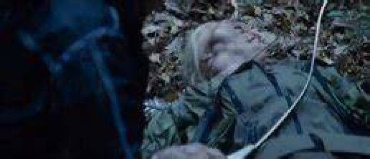 Did peeta get stung by tracker jackers?