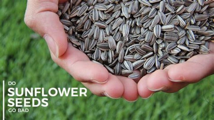 Do sunflower seeds go bad?