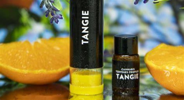Does tangie make you hungry?