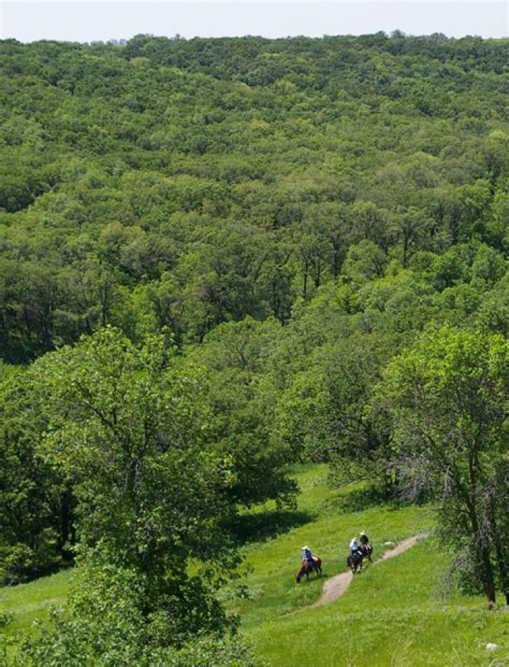 For ransom state park?