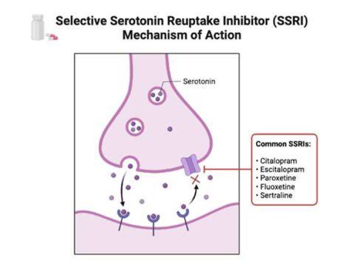 For selective serotonin reuptake inhibitor?
