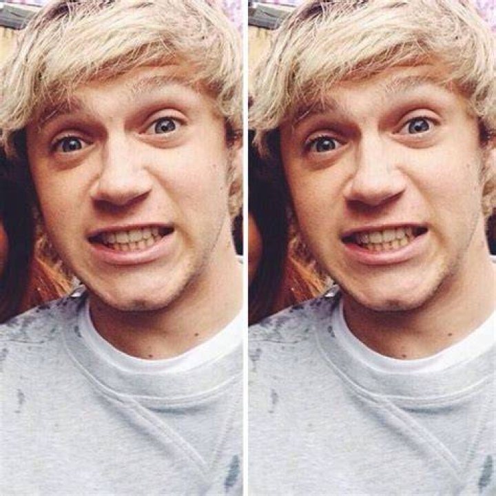 Has niall horan been knighted?