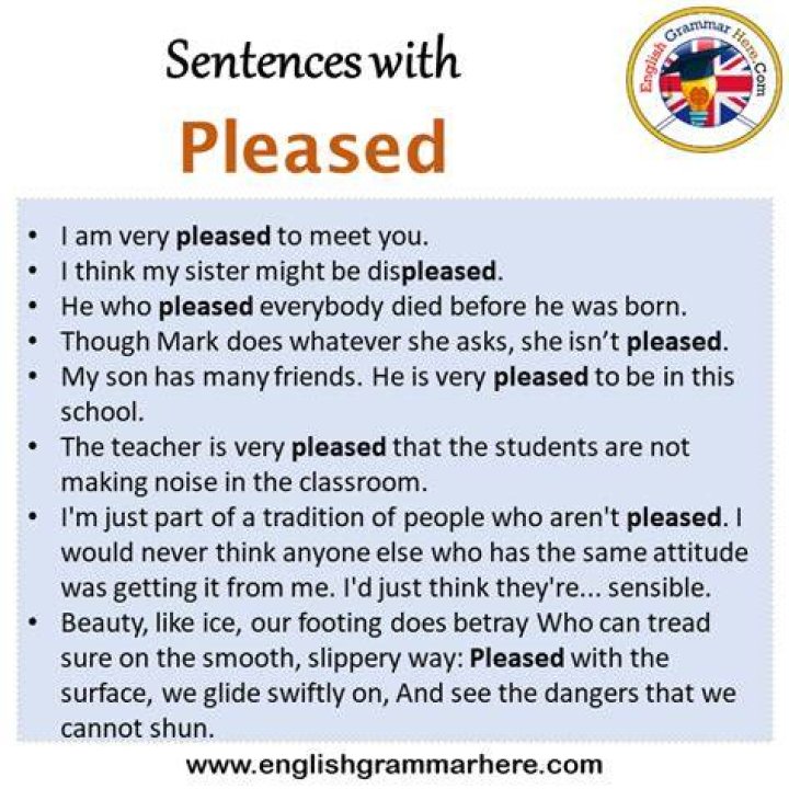 How do you use pleased in a sentence?
