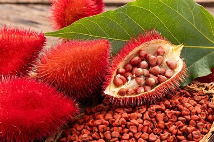 How is annatto produced?