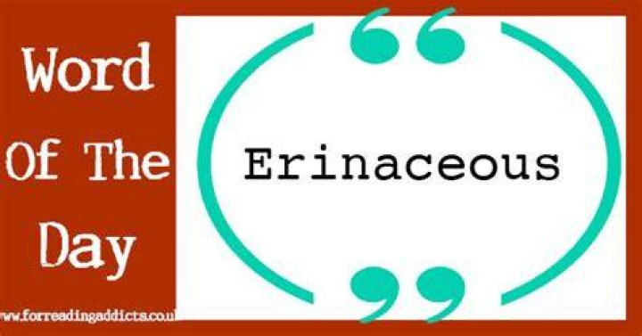 Is erinaceous a word?
