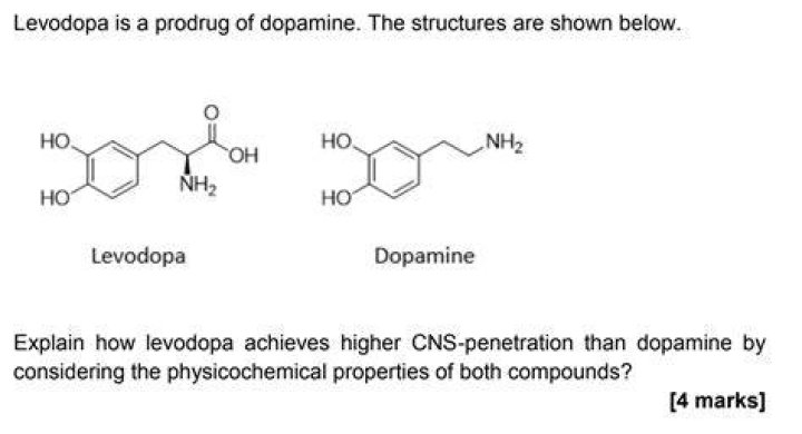 Is levodopa a prodrug?