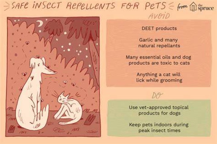 Is limonene safe for dogs?