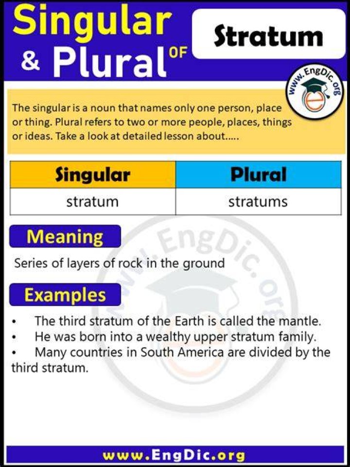 Is stratum singular or plural?
