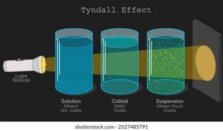 Is tyndall effect observed in suspension?