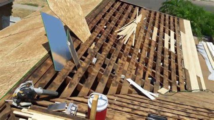 Should i replace the plywood on my roof?