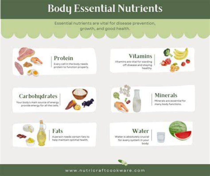 Were all the nutrients needed by the body provided?