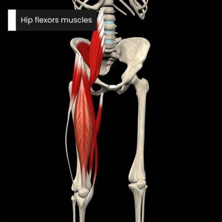 Were is your hip flexor?