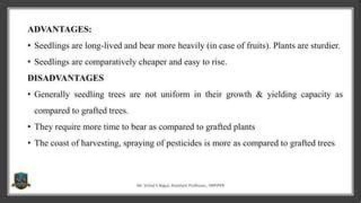 What are the advantages of seeds being long-lived in the wild?