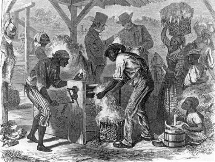 What did the cotton gin do?
