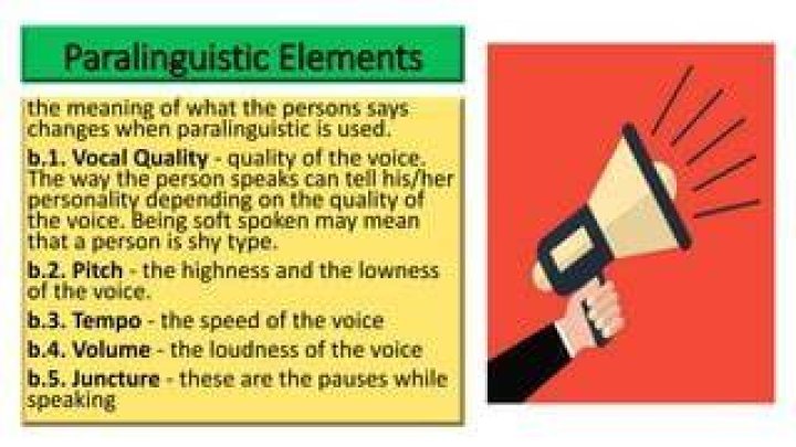 What does paralinguistic mean?