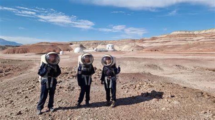 What is a planetary geologist?