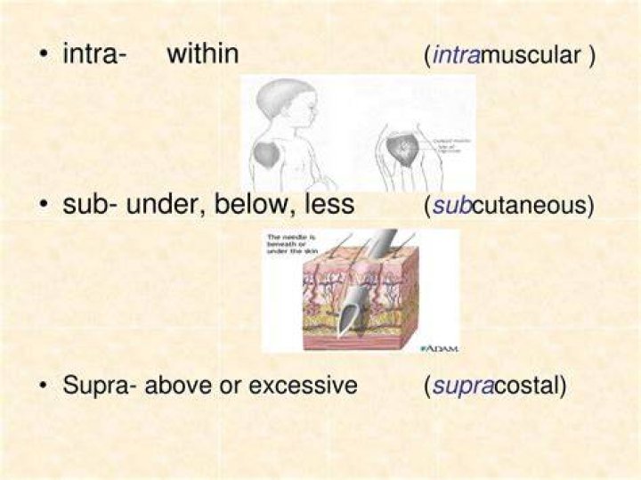 What is meaning of supracostal?