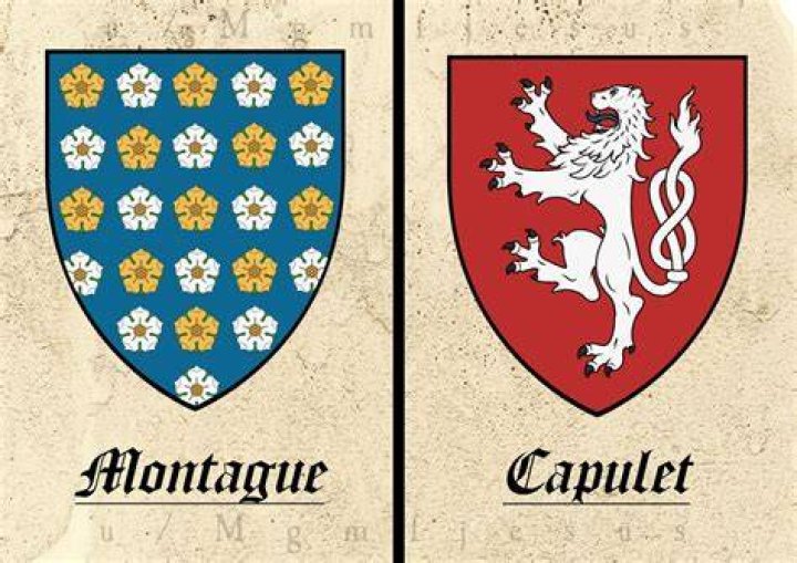 What is montague and capulet?