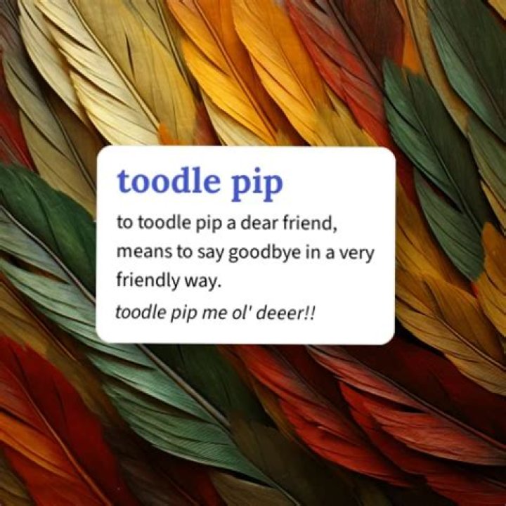 Whats the meaning of toodle pip?