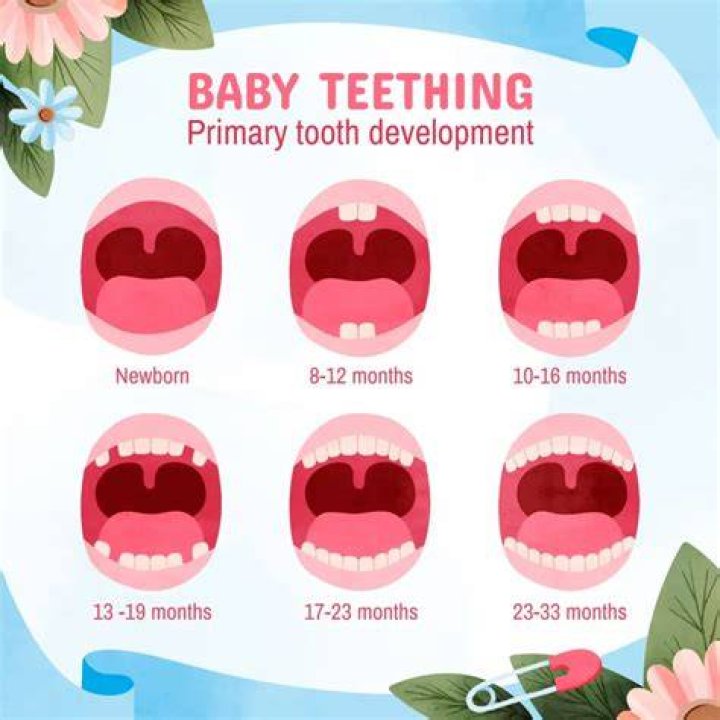 When can a baby start to teeth?