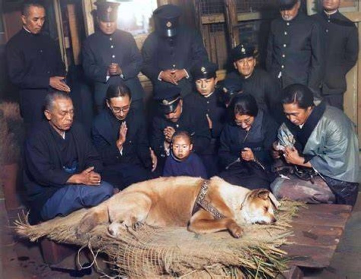 When did hachiko's owner dies?