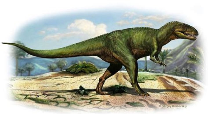 When was the megalosaurus live?
