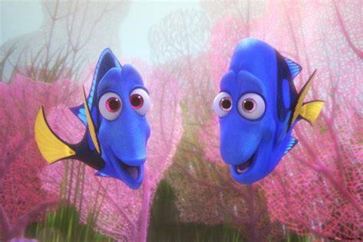 Where are dory's parents?