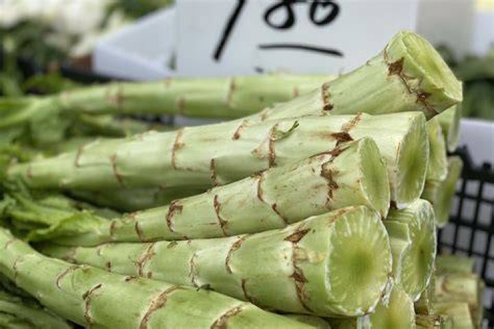 Where did the name celtuce come from?