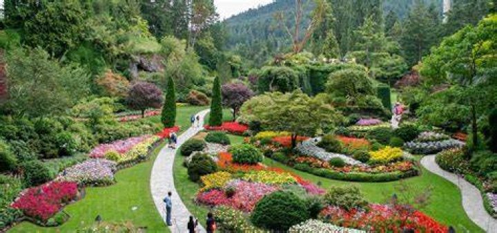 Where is butchart gardens?