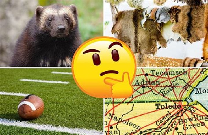 Which u.s. state is nicknamed the wolverine state?