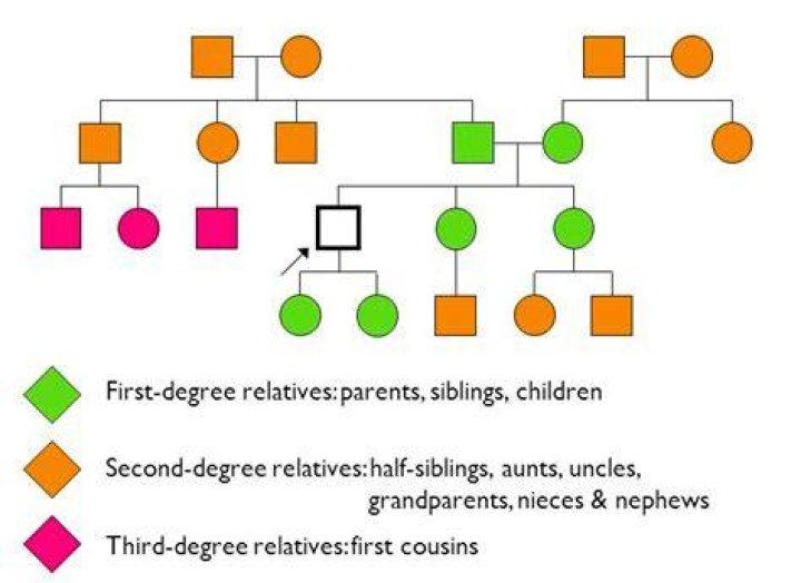 Who are second degree relatives?