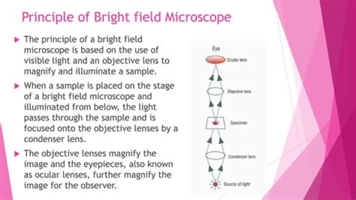 Who invented bright field microscope?