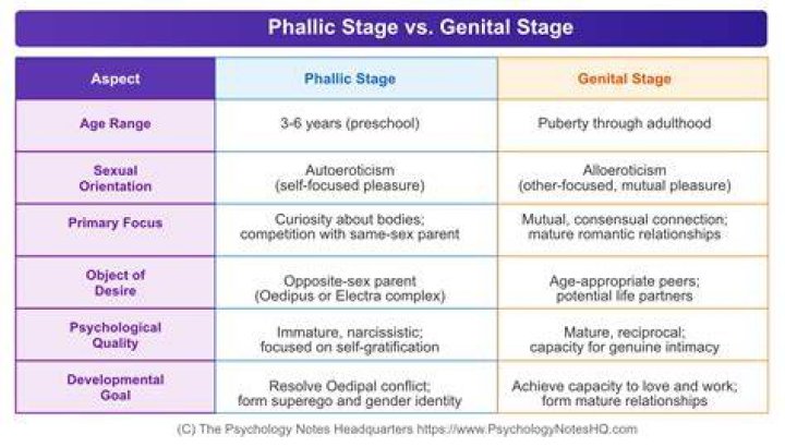 Who is phallic stage?