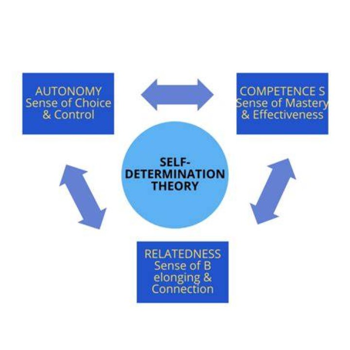 Who proposed self determination theory?