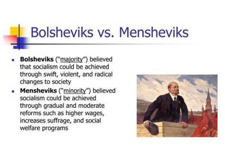Who were bolsheviks and mensheviks class 9?