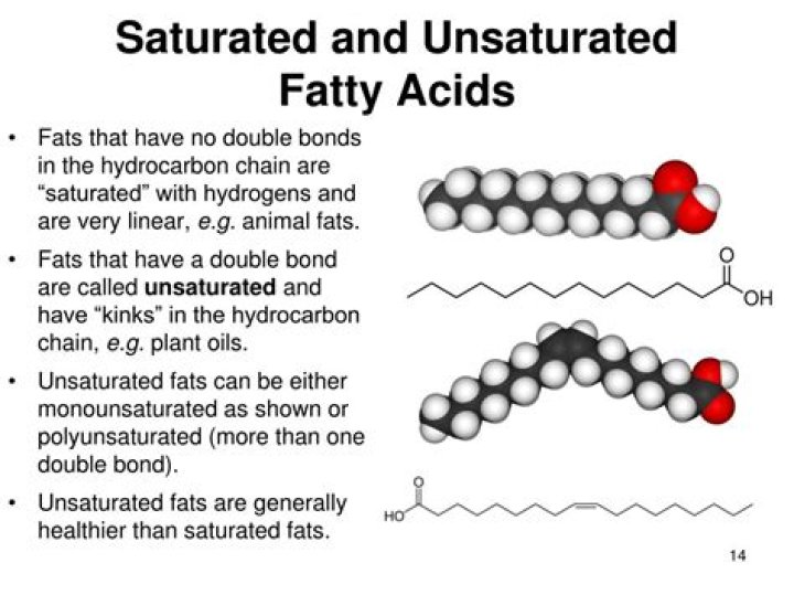 Why are fatty acids unsaturated?