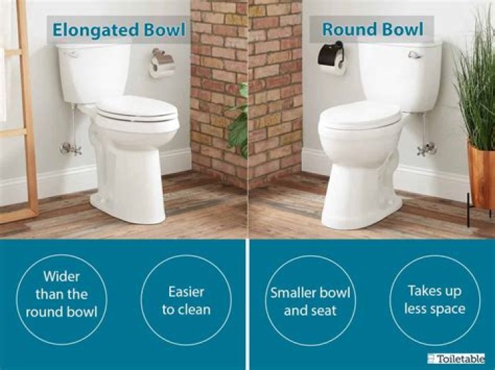 Why elongated toilet bowl?