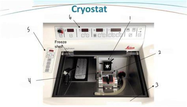 Why is it called a cryostat?