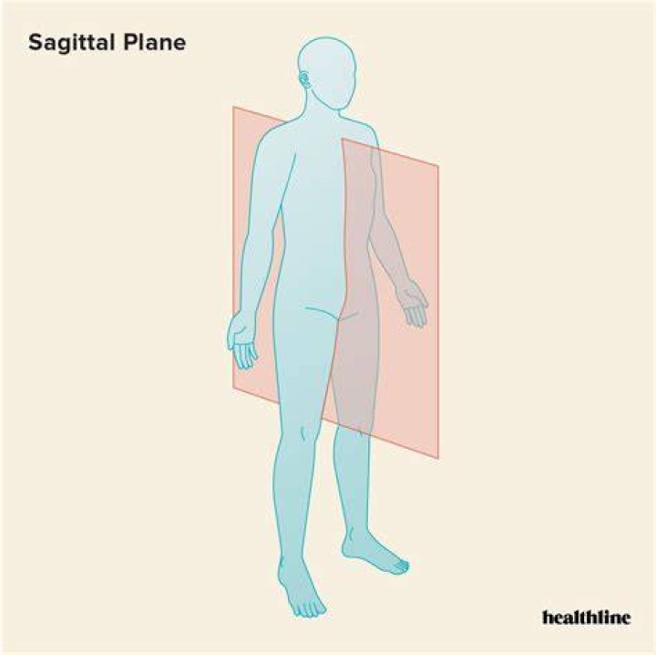 Why is the sagittal plane important?