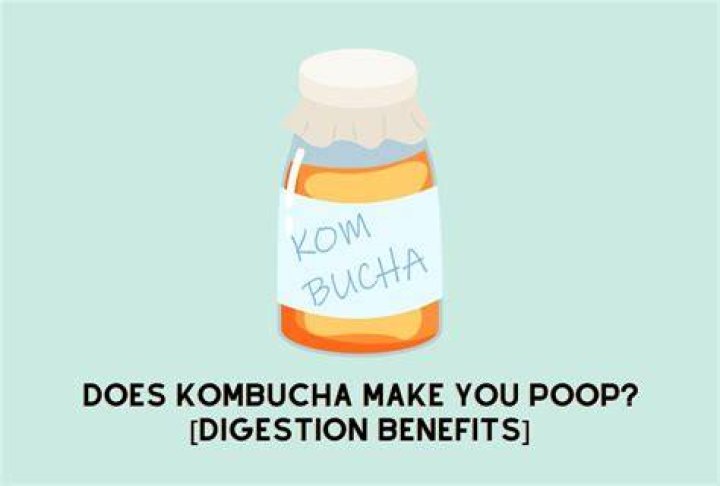 Why kombucha makes you poop?