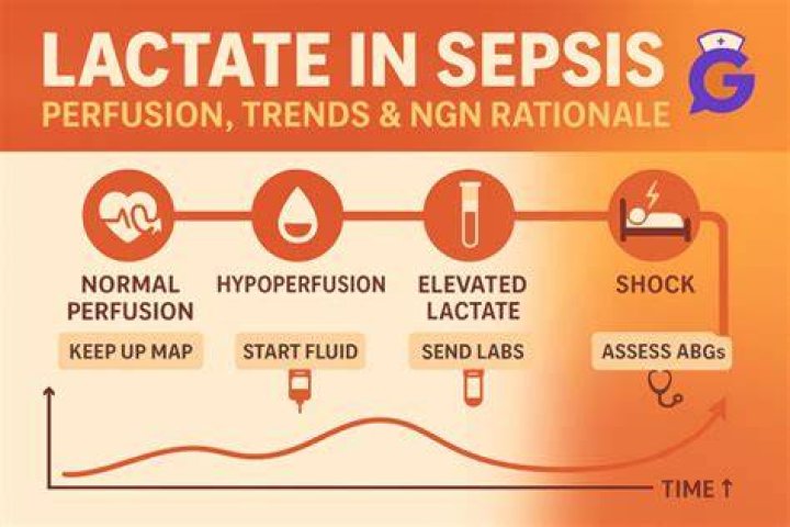 Why lactate is high in sepsis?