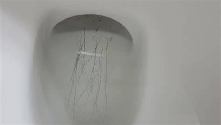 Will a wire brush scratch porcelain toilet?