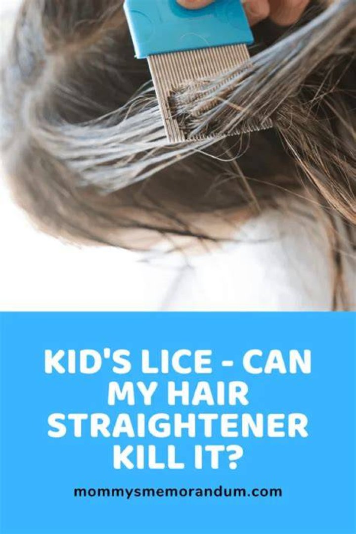 Will using a straightener kill lice?